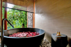 Bathtub